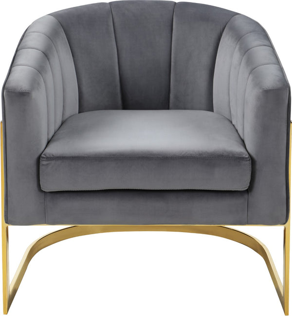 Carter Velvet / Engineered Wood / Stainless Steel / Foam Contemporary Grey Velvet Accent Chair - 30" W x 29" D x 30" H
