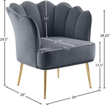 Jester Velvet / Engineered Wood / Iron / Foam Contemporary Grey Velvet Accent Chair - 29" W x 29" D x 29.5" H