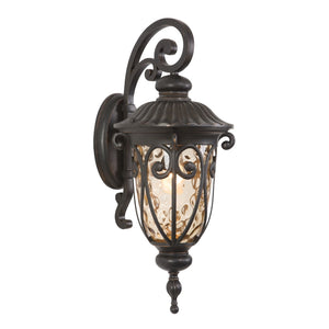 Yosemite Home Decor Viviana Collection 1-Light Incandescent Exterior 519MDIORB-YHD