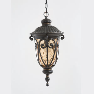 Yosemite Home Decor Viviana Collection 1-Light Hanging Exterior 519MHIORB-YHD