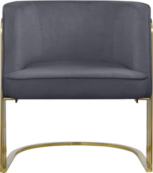 Rays Velvet / Engineered Wood / Iron / Foam Contemporary Grey Velvet Accent Chair - 27" W x 28.5" D x 30" H