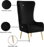 Alexander Velvet / Plywood / MDF / Metal Contemporary Black Velvet Accent Chair - 27" W x 33" D x 51" H