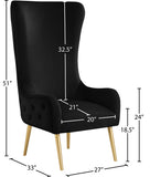 Alexander Velvet / Plywood / MDF / Metal Contemporary Black Velvet Accent Chair - 27" W x 33" D x 51" H