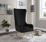 Alexander Velvet / Plywood / MDF / Metal Contemporary Black Velvet Accent Chair - 27" W x 33" D x 51" H