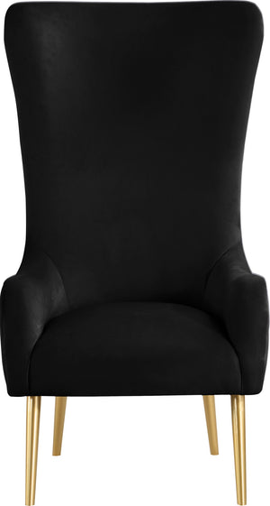 Alexander Velvet / Plywood / MDF / Metal Contemporary Black Velvet Accent Chair - 27" W x 33" D x 51" H