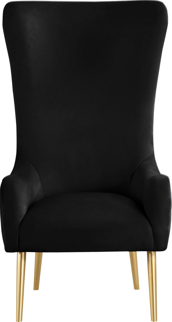 Alexander Velvet / Plywood / MDF / Metal Contemporary Black Velvet Accent Chair - 27" W x 33" D x 51" H