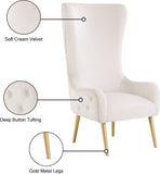 Alexander Velvet / Plywood / MDF / Metal Contemporary Cream Velvet Accent Chair - 27" W x 33" D x 51" H