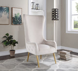 Alexander Velvet / Plywood / MDF / Metal Contemporary Cream Velvet Accent Chair - 27" W x 33" D x 51" H