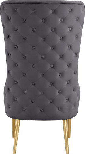 Alexander Velvet / Plywood / MDF / Metal Contemporary Grey Velvet Accent Chair - 27" W x 33" D x 51" H