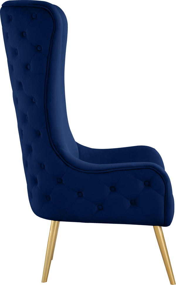 Alexander Velvet / Plywood / MDF / Metal Contemporary Navy Velvet Accent Chair - 27" W x 33" D x 51" H