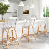 Butler Specialty Solstice White &  Grey Rattan Counter Stool 5399329