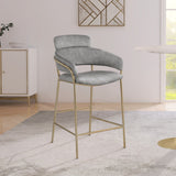 Yara Velvet / Iron / Foam Contemporary Grey Velvet Counter Stool - 21.5" W x 20.5" D x 41" H