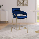 Yara Velvet / Iron / Foam Contemporary Navy Velvet Counter Stool - 21.5" W x 20.5" D x 41" H