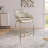 Yara Velvet / Iron / Foam Contemporary Stone Velvet Counter Stool - 21.5" W x 20.5" D x 41" H