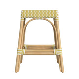 Butler Specialty Tobias 24.5" Rattan Yellow and White Counter Stool 5513431