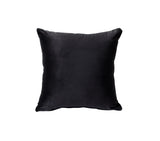 Heibero Contemporary Sofa with 2 Pillows Black Velvet(#) 56995-ACME