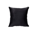 Heibero Contemporary Loveseat with 2 Pillows Black Velvet(#) 56996-ACME