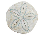 Ocean Breeze Sand Dollar End Table