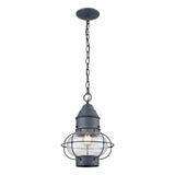 Onion 10'' Wide 1-Light Outdoor Pendant - Aged Zinc