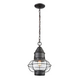 Onion 10'' Wide 1-Light Outdoor Pendant - Oil Rubbed Bronze