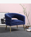 Aistil Contemporary Accent Chair Blue Velvet(#) & Gold Finish 59675-ACME