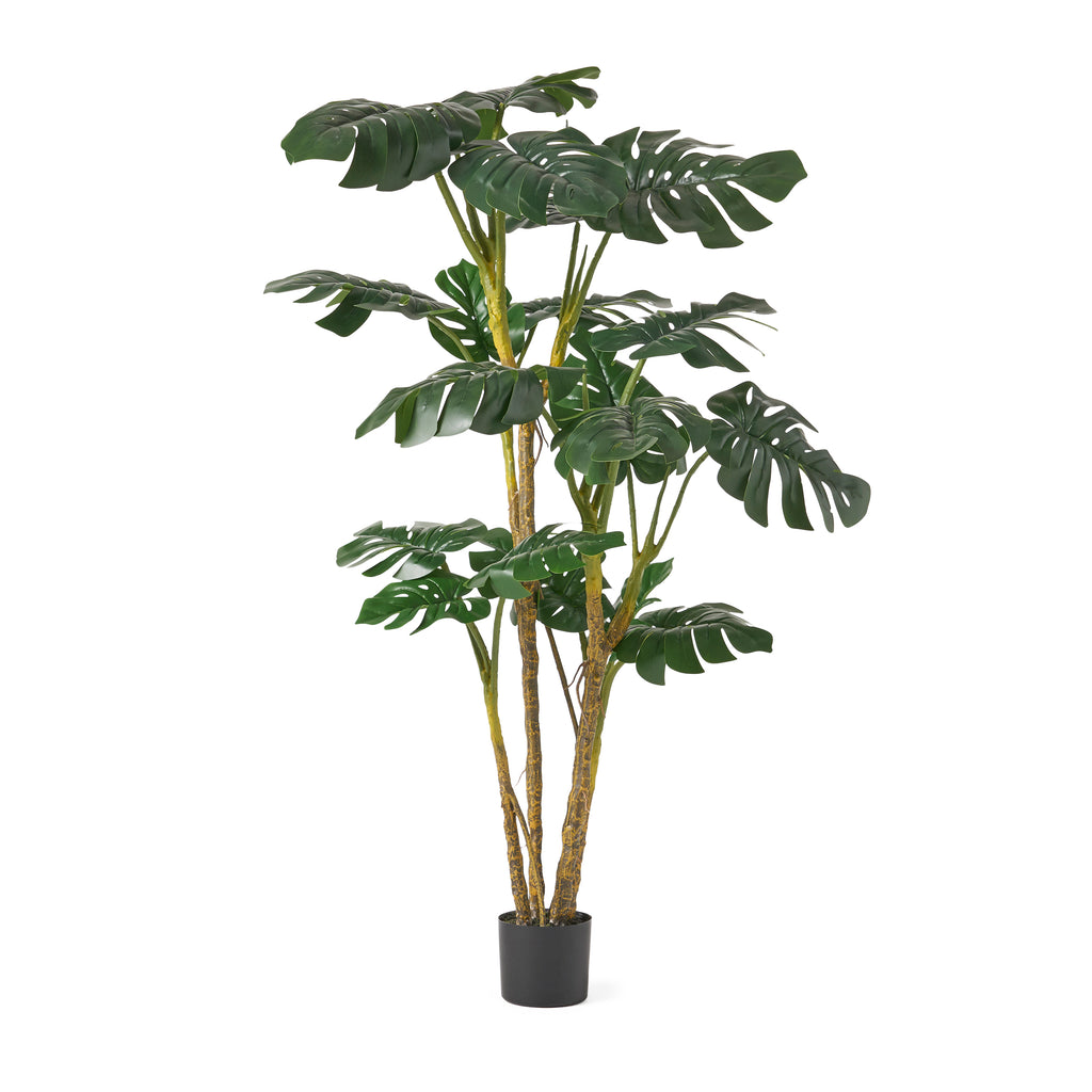 Stilwell 6' x 4' Artificial Monstera Tree, Green Noble House