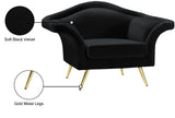 Lips Velvet / Engineered Wood / Metal / Foam Contemporary Black Velvet Chair - 53" W x 34" D x 35" H