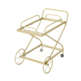 Indio Outdoor Traditional Iron and Glass Bar Cart