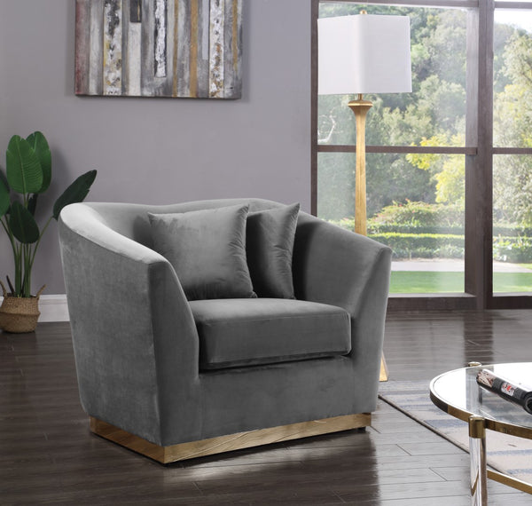 Arabella Velvet / Engineered Wood / Stainless Steel / Foam Contemporary Grey Velvet Chair - 43.5" W x 35" D x 32.5" H