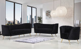 Margo Velvet / Engineered Wood / Stainless Steel / Foam Contemporary Black Velvet Loveseat - 65" W x 30" D x 33" H