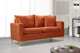 Naomi Velvet / Engineered Wood / Metal / Foam Contemporary Cognac Velvet Loveseat - 58" W x 33.5" D x 33" H