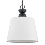 Kistler 12'' Wide 1-Light Pendant - Charcoal