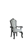 House Delphine Transitional Arm Chair (Set-2)