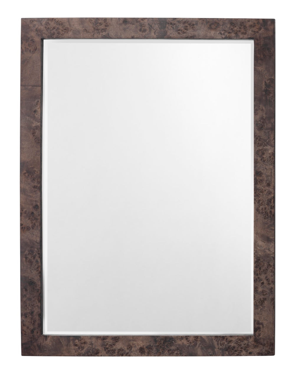 Jamie Young Co. Chandler Rectangle Mirror 6CHAN-RECTCH
