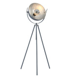 Bethel Chrome Floor Lamp in Metal