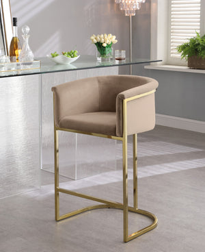 Donatella Velvet / Engineered Wood / Steel Contemporary Beige Velvet Stool - 23.5" W x 20" D x 36" H