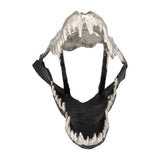 Sagebrook Home Contemporary Metal,11",alligator Skull,nickle/black 17483-01 Black Aluminum