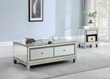 Modern Rectangle 1-drawer End Table Mirrored