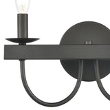 Williamson 14'' Wide 2-Light Vanity Light - Black