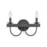 Williamson 14'' Wide 2-Light Vanity Light - Black