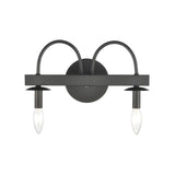 Williamson 14'' Wide 2-Light Vanity Light - Black