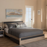 Baxton Studio Jamie Modern and Contemporary Two-Tone Oak and Grey Wood Queen 2-Drawer Queen Size Storage Platform Bed