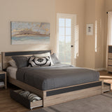 Baxton Studio Jamie Modern and Contemporary Two-Tone Oak and Grey Wood Queen 2-Drawer Queen Size Storage Platform Bed