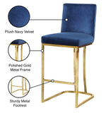 Heidi Velvet / Engineered Wood / Metal / Foam Contemporary Navy Velvet Stool - 16" W x 19.5" D x 36.5" H