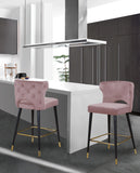 Kelly Velvet / Engineered Wood / Metal / Foam Contemporary Pink Velvet Stool - 22" W x 19" D x 38.5" H