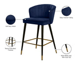 Cassie Velvet / Engineered Wood / Metal / Foam Contemporary Navy Velvet Stool - 20" W x 21" D x 36.5" H