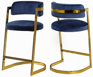 Stephanie Velvet / Engineered Wood / Metal / Foam Contemporary Navy Velvet Stool - 20" W x 22" D x 36" H