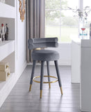 Fitzroy Velvet / Engineered Wood / Iron / Foam Contemporary Grey Velvet Counter Stool - 25" W x 21" D x 35" H