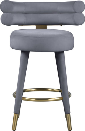 Fitzroy Velvet / Engineered Wood / Iron / Foam Contemporary Grey Velvet Counter Stool - 25" W x 21" D x 35" H