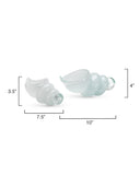 Jamie Young Co. Ariel Shells (Set of 2) 7ARIE-SHWH